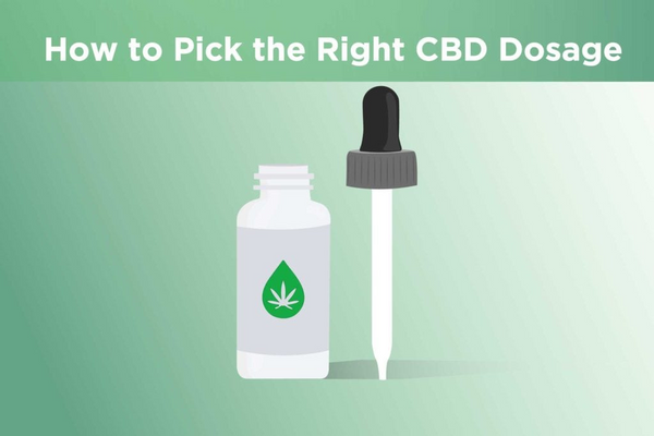 CBD Dosage- How Much Should You Be Taking