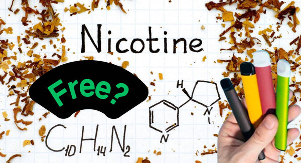 Nicotine-Free vs Nicotine-Containing Disposable Vapes: Which is Right for You?